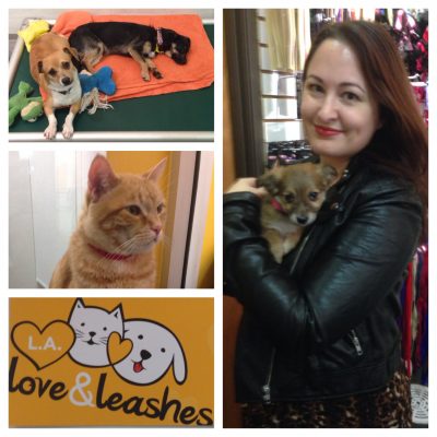 Excited to Announce my Board Membership at L.A. Love & Leashes!