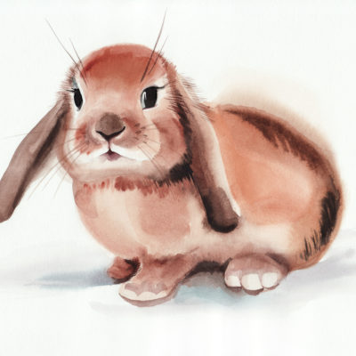 Animal testing is being required in the EU in 2021
