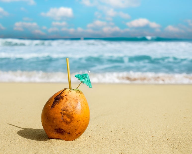 Coconut body care by LATHER