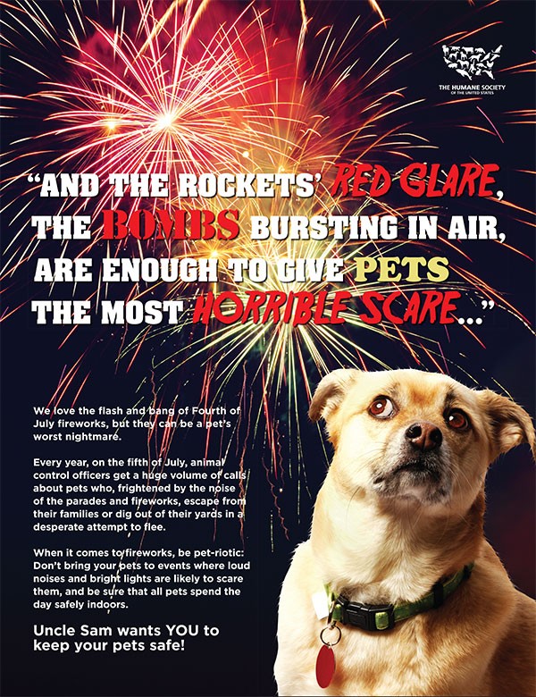4th of July Pet Safety