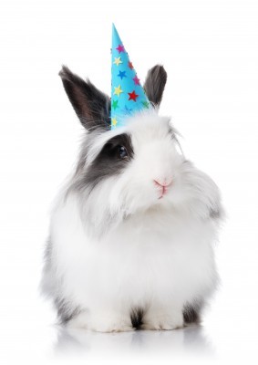 Are you looking for cruelty free drugstore products? These brands are not tested on animals - Cruelty Free Drugstore Makeup by popular LA cruelty free beauty blogger My Beauty Bunny