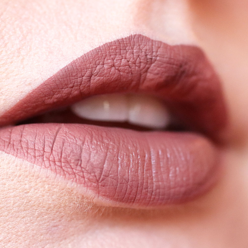 Anastasia Beverly Hills 2019 Holiday Undressed Lip Set On Mute Liquid Lipstick Swatch