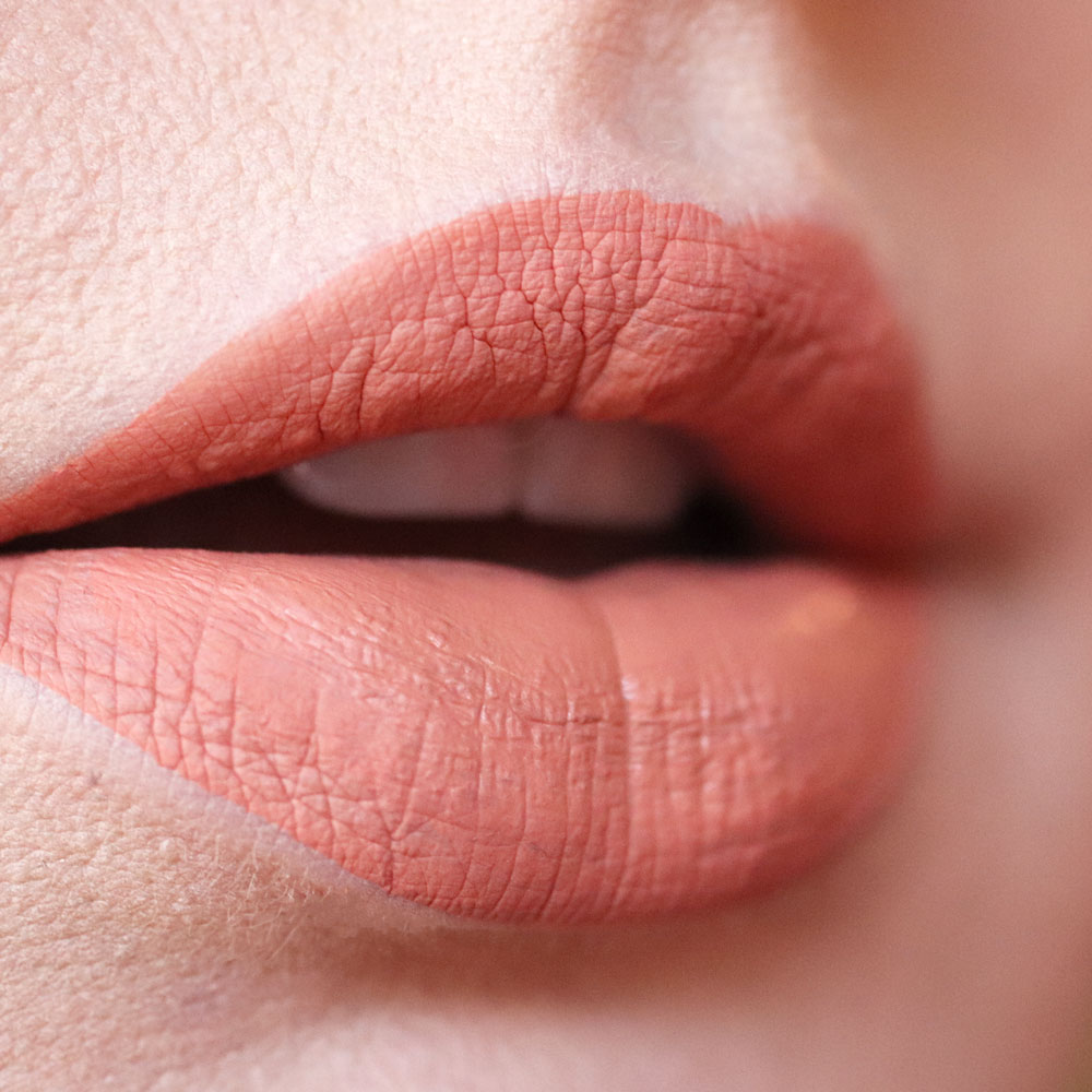 Anastasia Beverly Hills 2019 Holiday Undressed Lip Set Peachy Liquid Lipstick Swatch