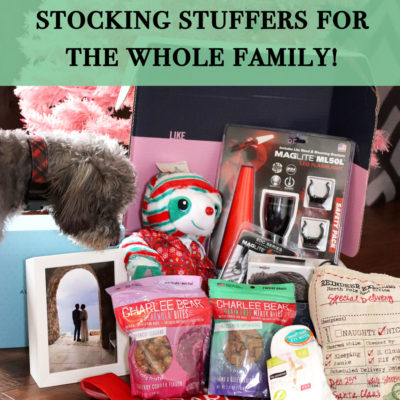 Holiday Gifts & Stocking Stuffer Ideas for the Whole Family!