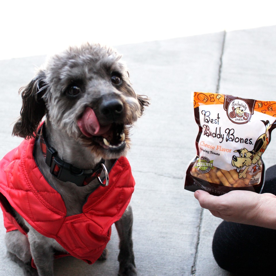 Dog Lovers Holiday Gift Guide - Perfect-Pooch-Gift-Pack