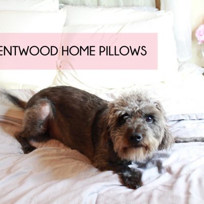 Brentwood Home Luxury Pillow Review