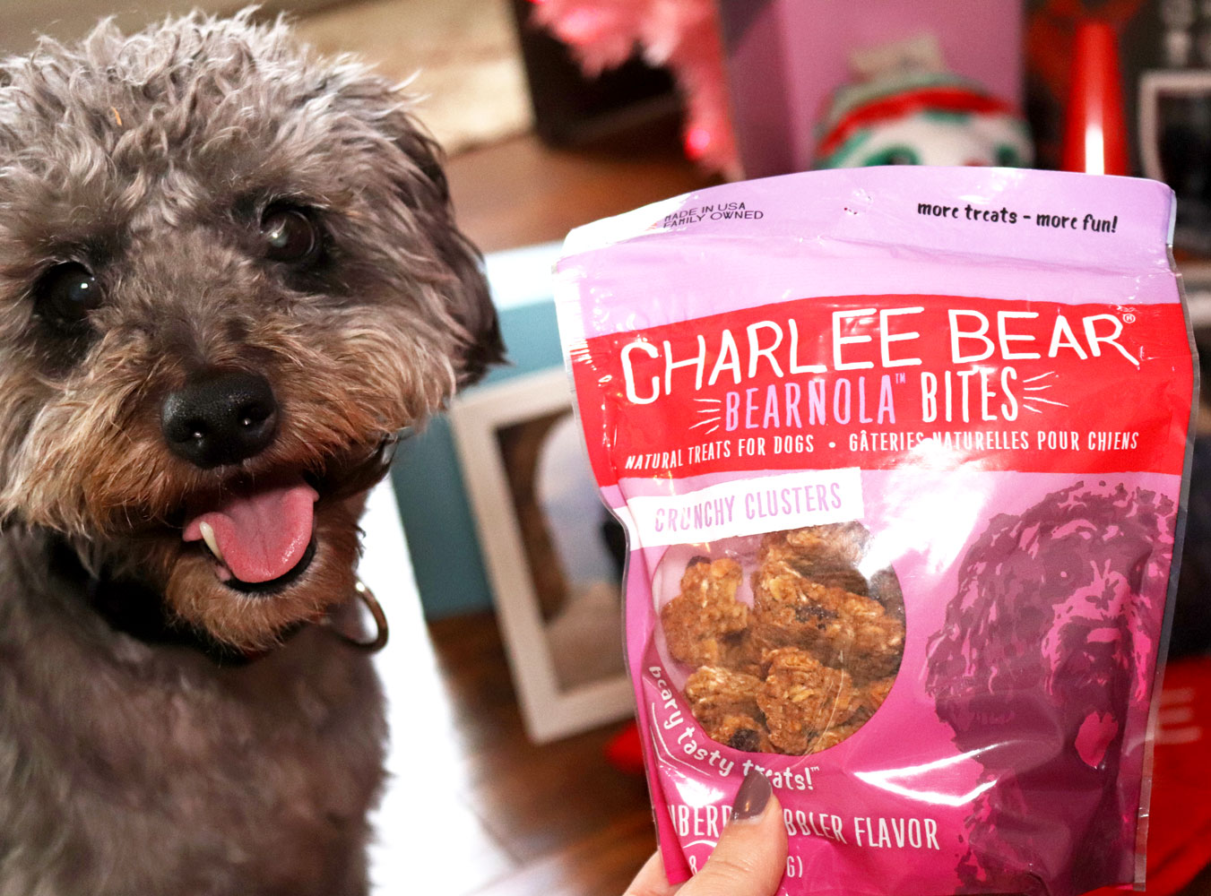 Holiday Gift Guide for the Whole Family 2019 - Charlee Bear dog treats