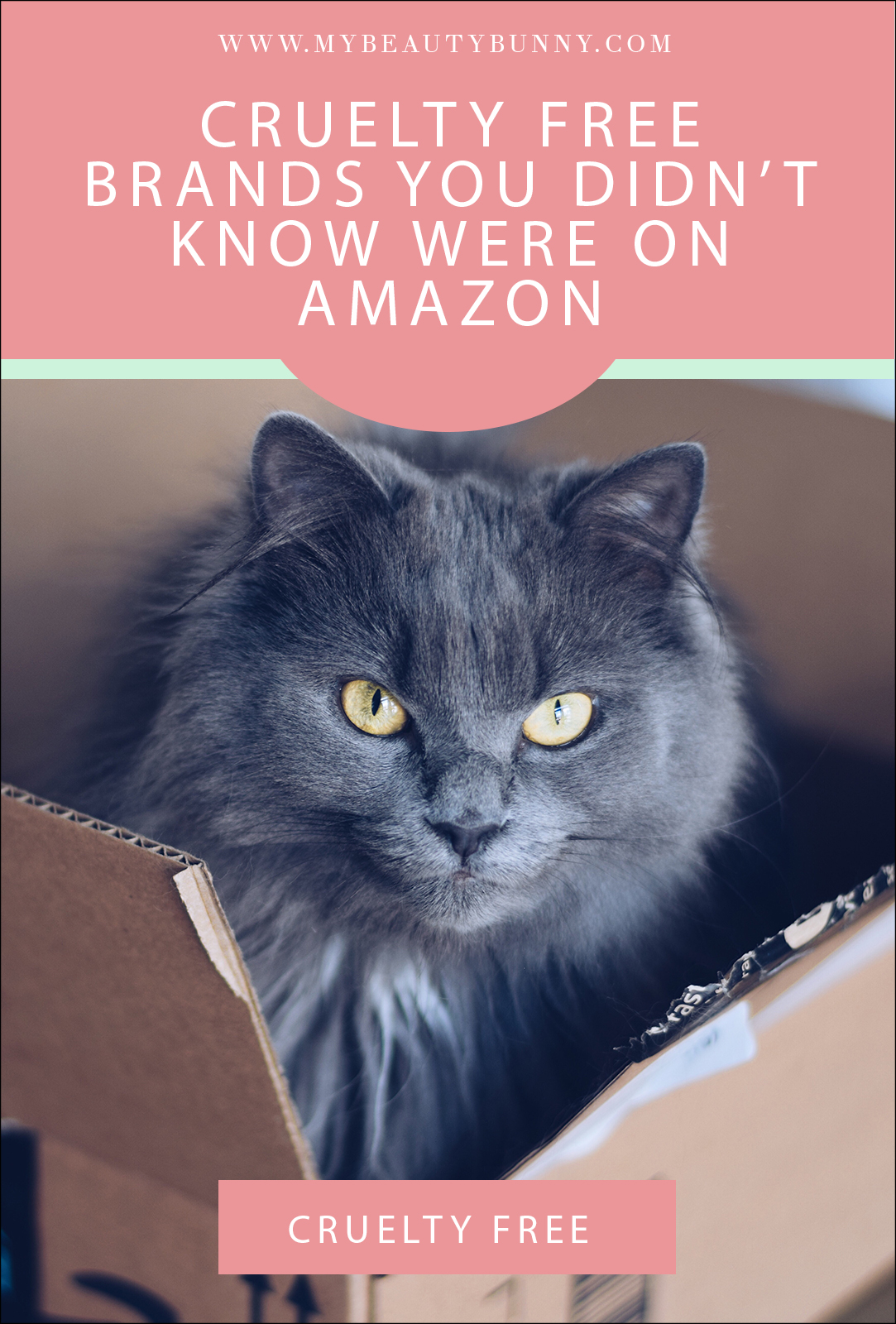 Cruelty Free Beauty Brands on Amazon