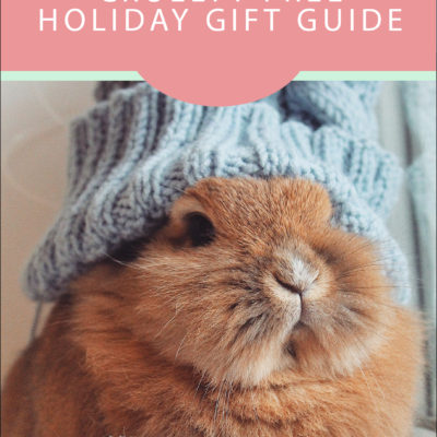 Cruelty Free Holiday Gift Guide 2020