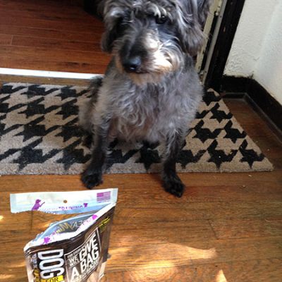 Cruelty Free Dog Treats!