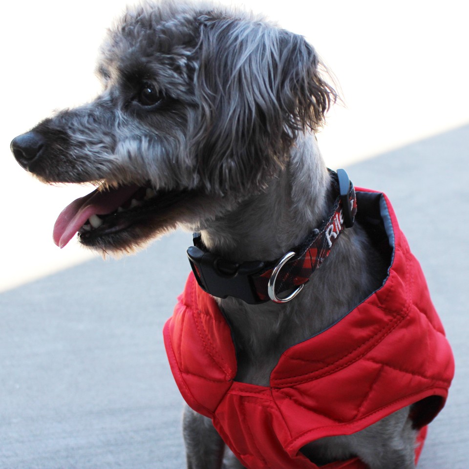 Dog Lovers Holiday Gift Guide - Kurgo Loft Dog Coat