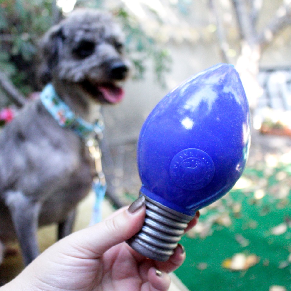 Dog Lovers Holiday Gift Guide - Orbee Tuff Dog Toy