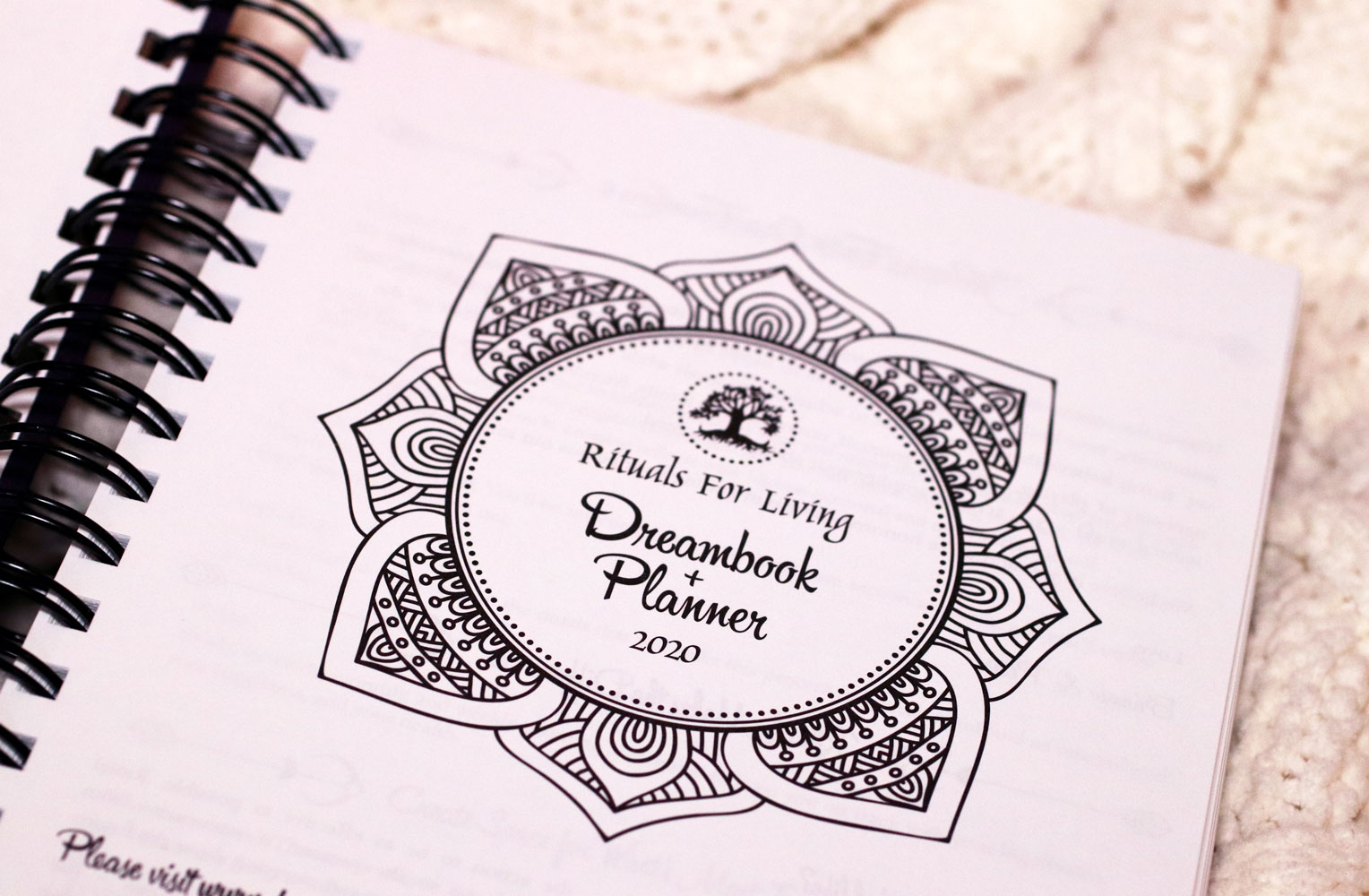Woman Owned Holiday Gift Guide 2019 - Dreambook Planner 2020