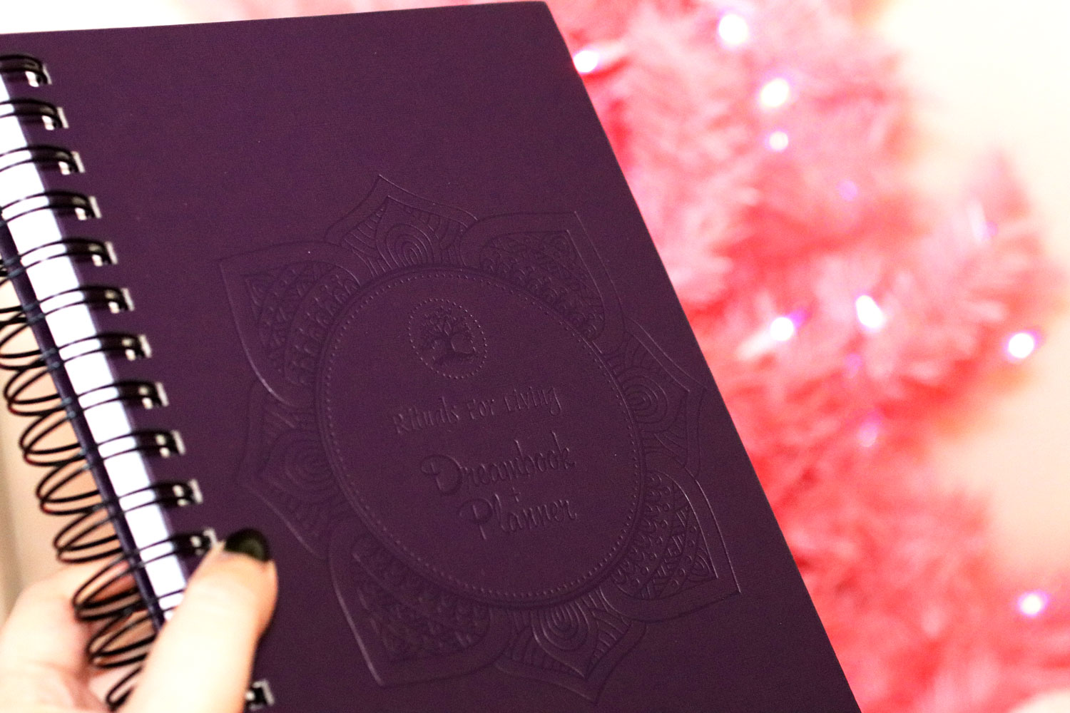 Woman Owned Holiday Gift Guide 2019 - Dreambook Planner