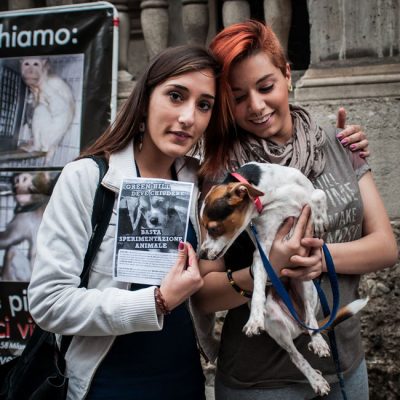 Important Update – US Bill May Increase Animal Testing!