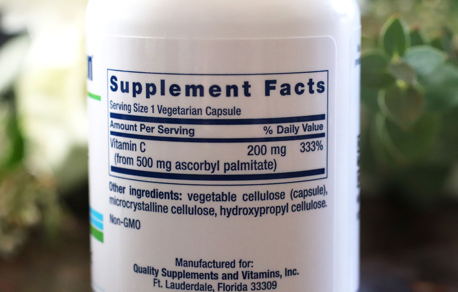 ascorbyl palmitate fat soluble Vitamin C by Life Extension