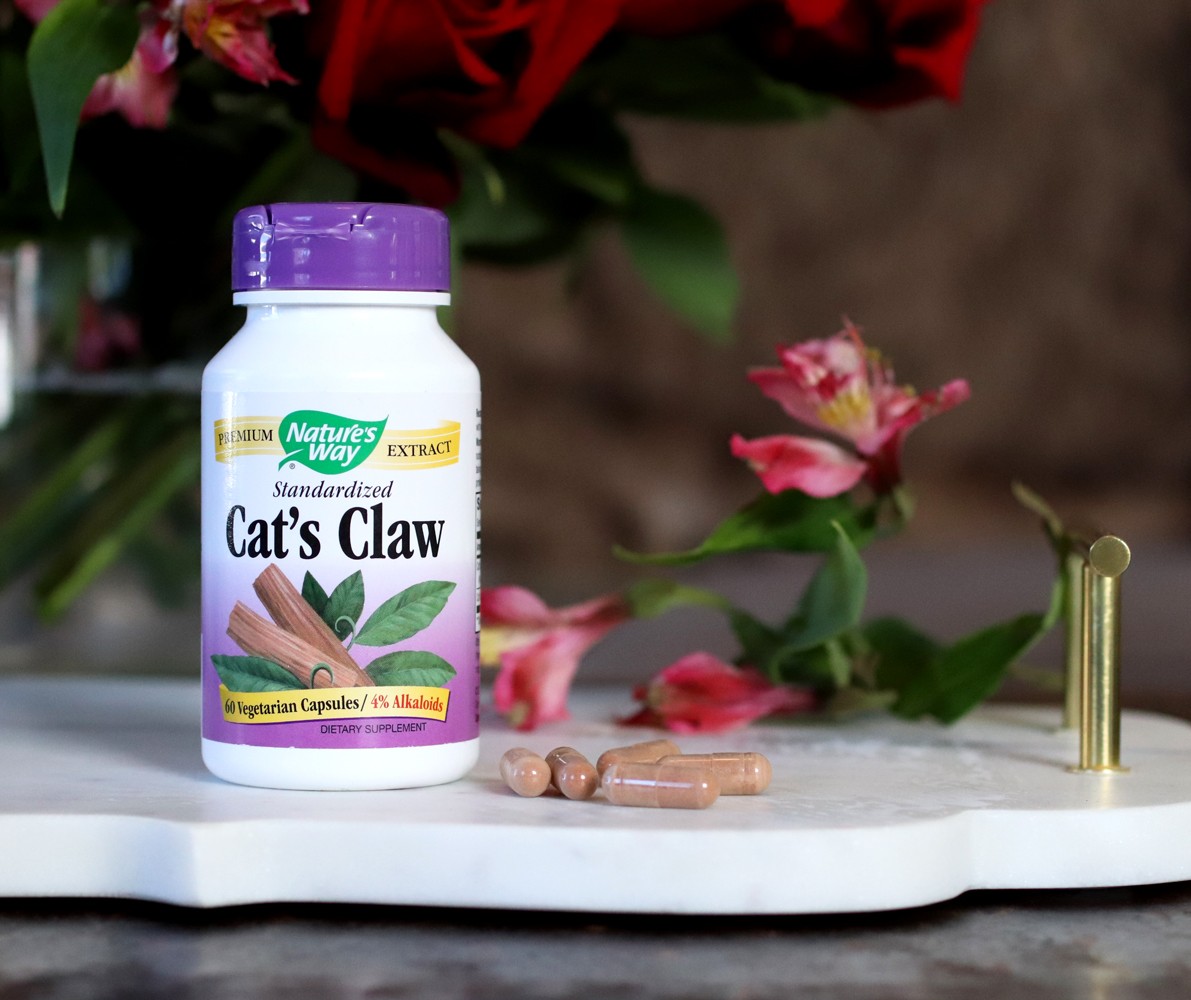 Best supplements for your immune system - Nature's Way from iHerb - Standardized Cat's Claw