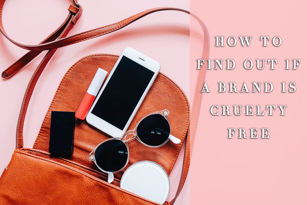 How to find out if a brand is cruelty free
