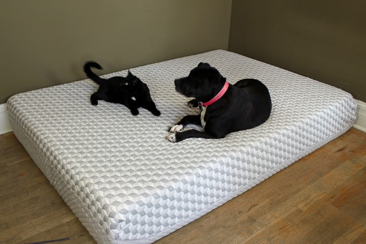 Layla-Sleep-4