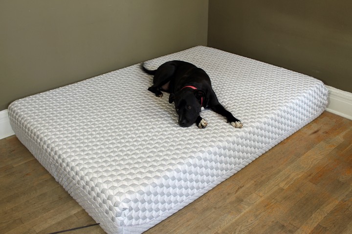 Layla-Sleep-5