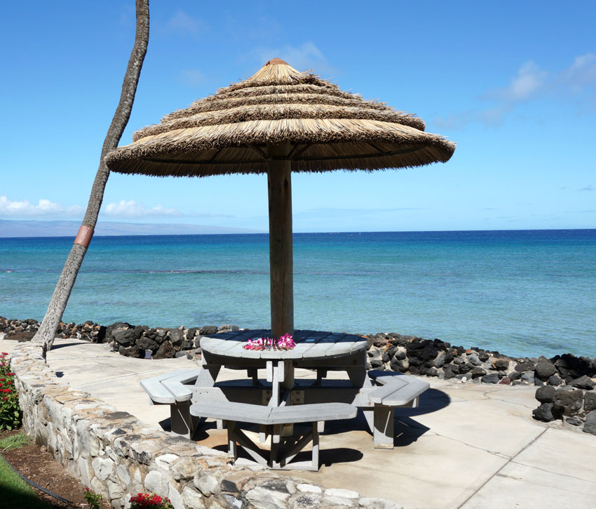 Milani in Hawaii