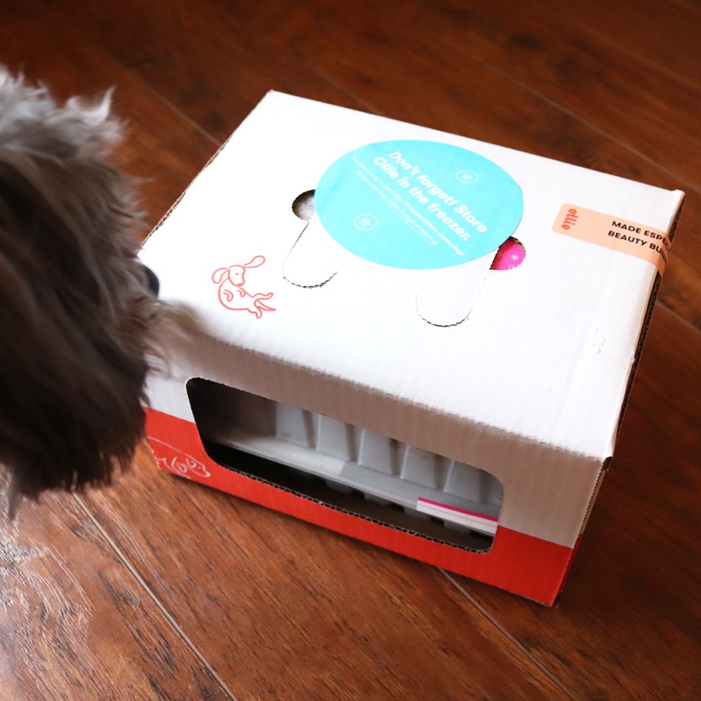 Ollie - fresh dog food delivery service review by pet blogger My Beauty Bunny