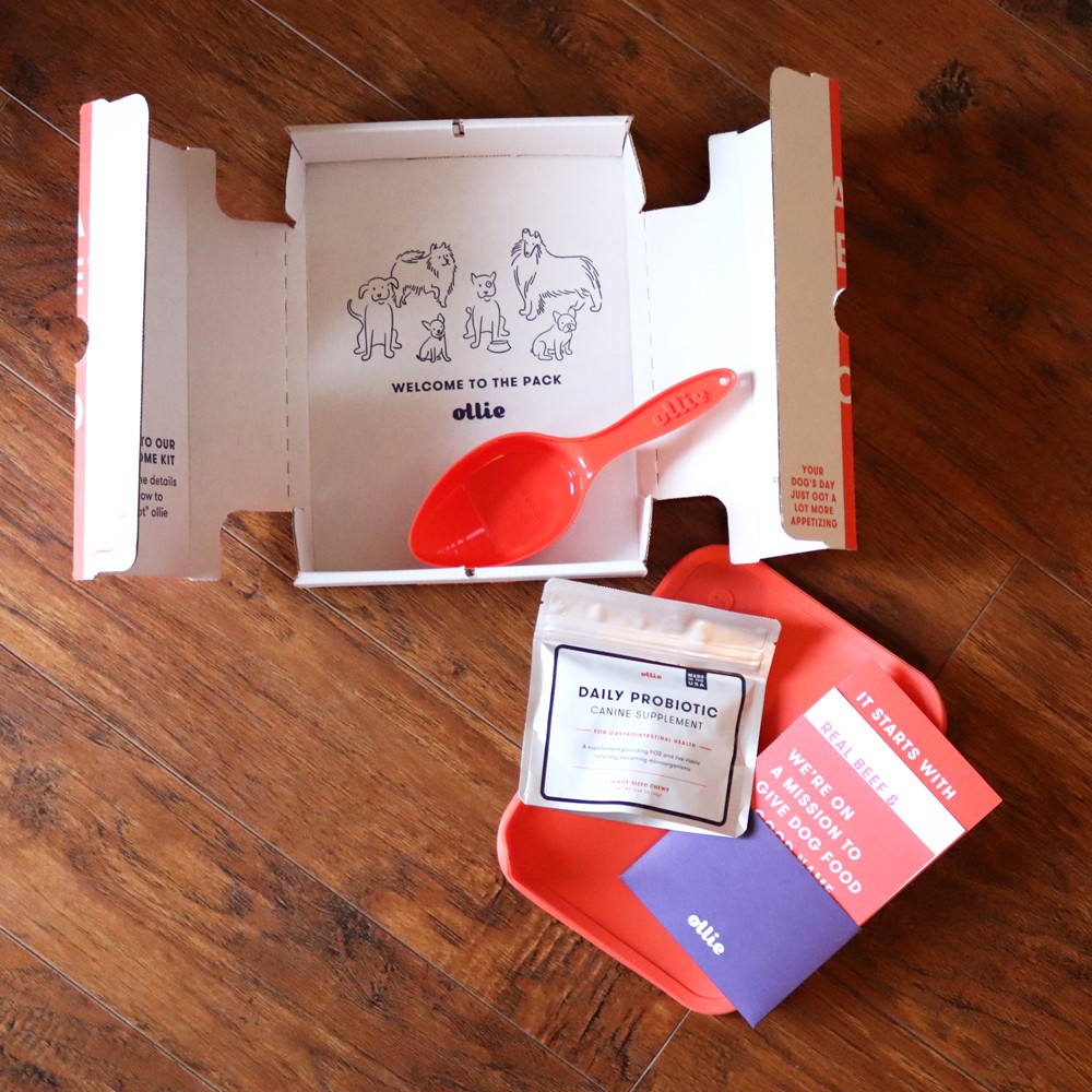 Ollie - fresh dog food delivery service review by pet blogger My Beauty Bunny