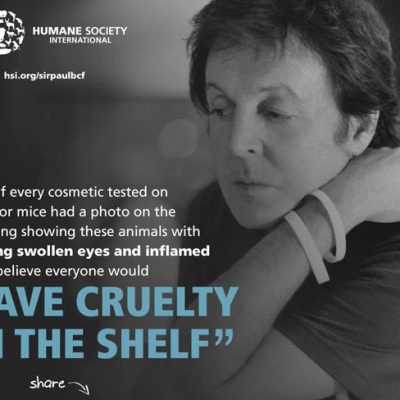 Help End Animal Testing in the USA! Humane Cosmetics Act 2015