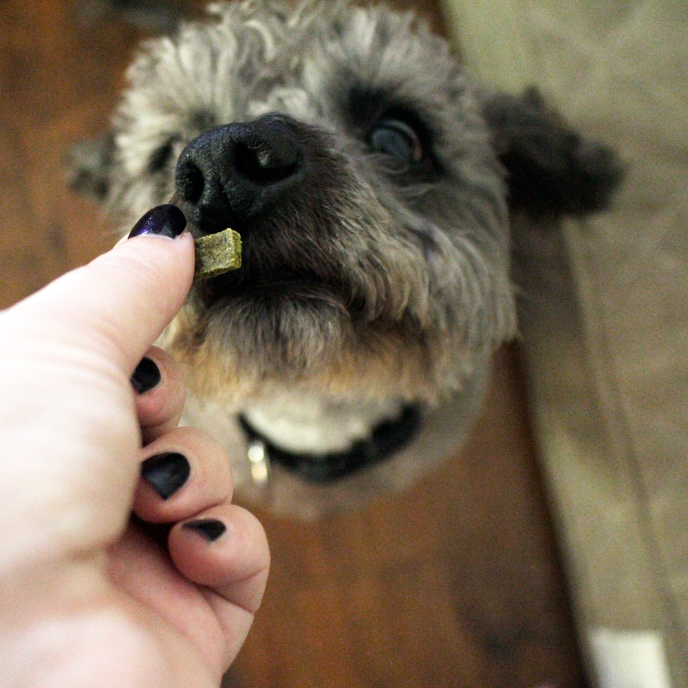 Paw Kookies Pet Treats