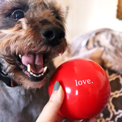 Safe Dog Toys – Orbee Tuff from Planet Dog
