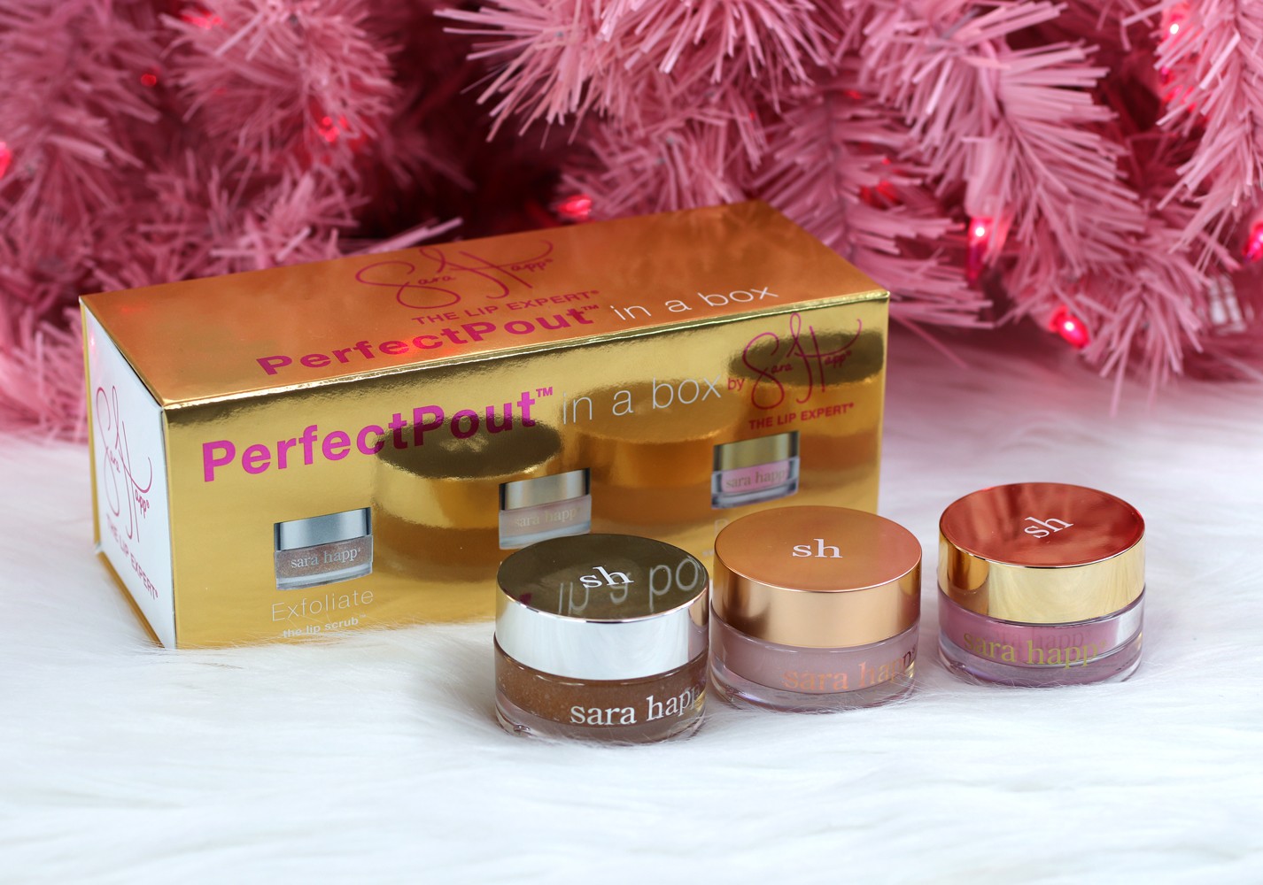 Sara Happ Perfect Pout Gift Set