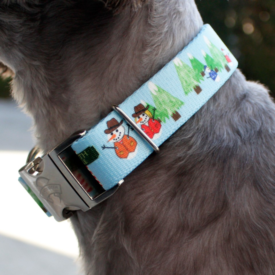 Dog Lovers Holiday Gift Guide - Snowman Collar and Leash Set