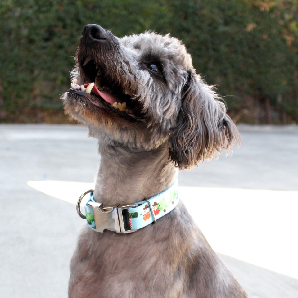 Dog Lovers Holiday Gift Guide - Snowman Collar and Leash Set