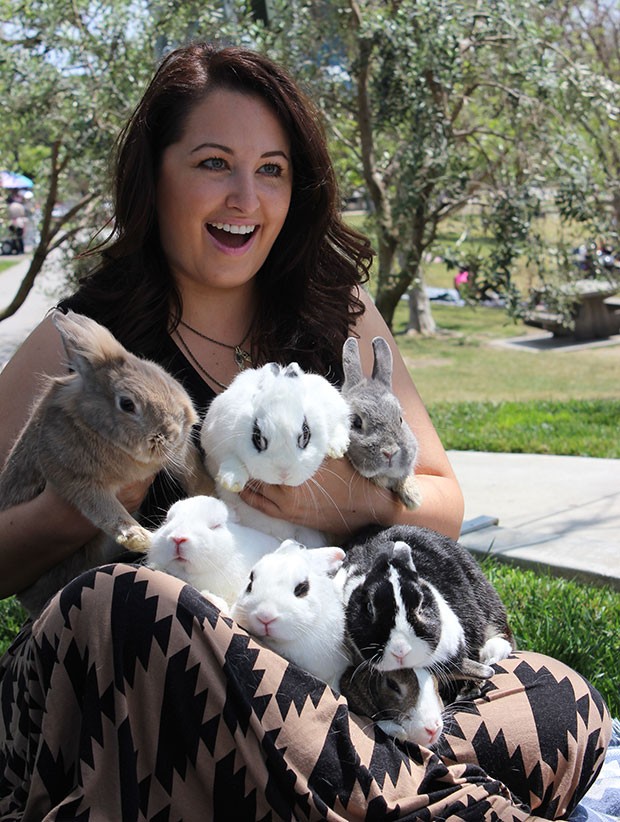 bunnies