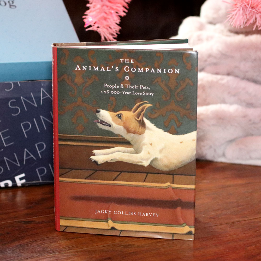 Holiday Gift Guide for the Whole Family 2019 - The Animal's Companion book by Jacky Colliss Harvey