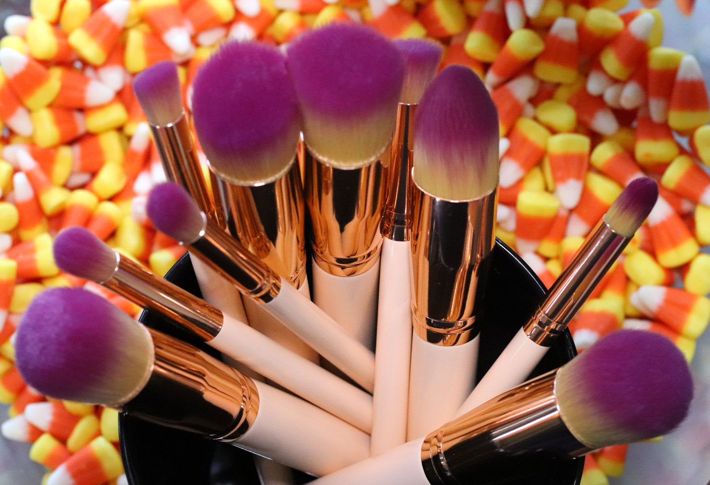Giveaway - Vegan makeup brush set from The Vegan Warehouse 