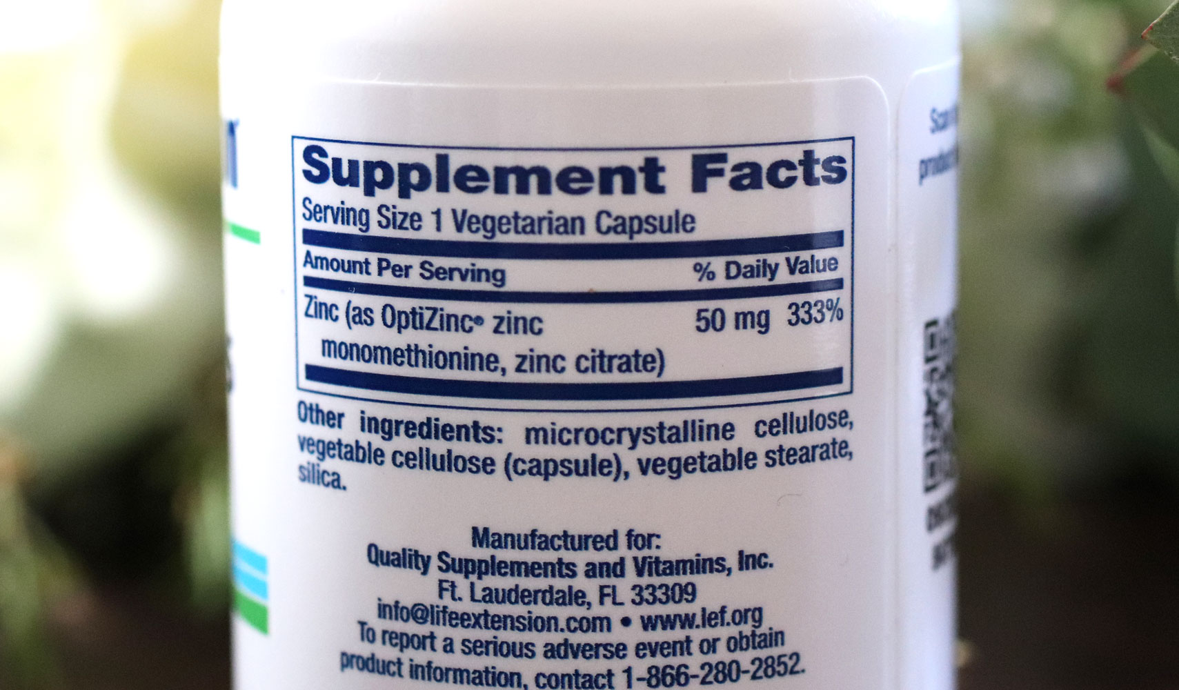 Life Extension Zinc Caps