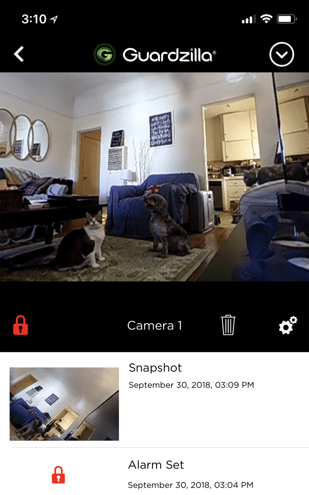 Guardzilla Camera for Pet Lovers who Travel